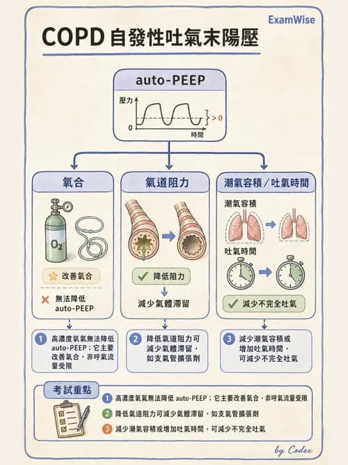 呼吸治療師 - 正壓通氣生理影響與合併症 - AI 圖文解析預覽