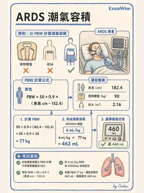 呼吸治療師 - 臨床設定、參數調整與脫離 - AI 圖文解析預覽