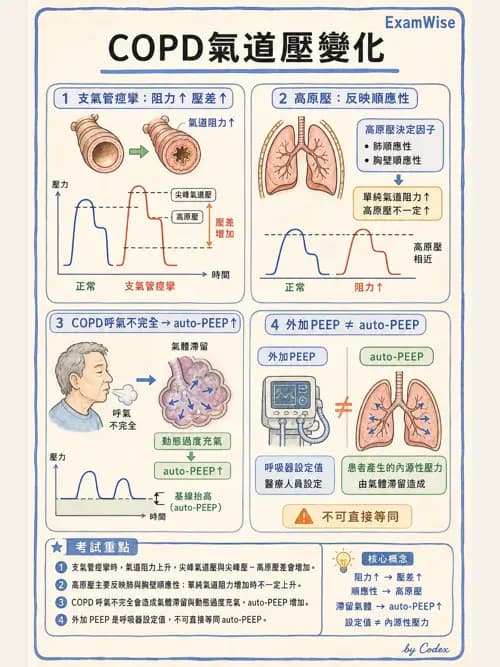 呼吸治療師 - 正壓通氣生理影響與合併症 - AI 圖文解析預覽