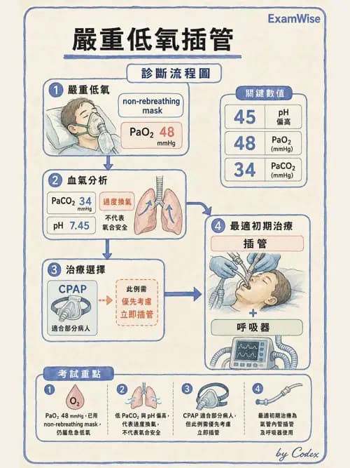 呼吸治療師 - 臨床設定、參數調整與脫離 - AI 圖文解析預覽