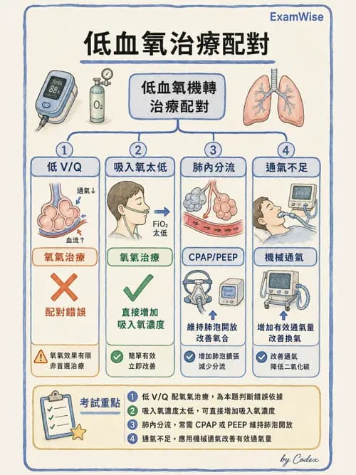 呼吸治療師 - 呼吸器監測與評估 - AI 圖文解析預覽
