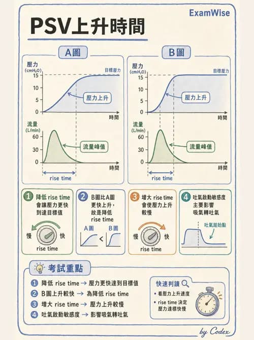 呼吸治療師 - 呼吸器圖形判讀與故障排除 - AI 圖文解析預覽