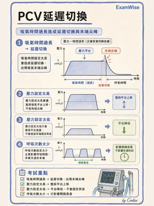 呼吸治療師 - 呼吸器圖形判讀與故障排除 - AI 圖文解析預覽