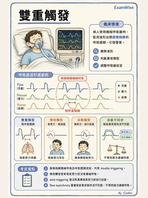 呼吸治療師 - 呼吸器圖形判讀與故障排除 - AI 圖文解析預覽