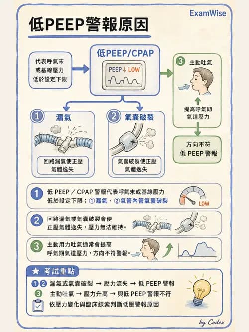 呼吸治療師 - 呼吸器圖形判讀與故障排除 - AI 圖文解析預覽