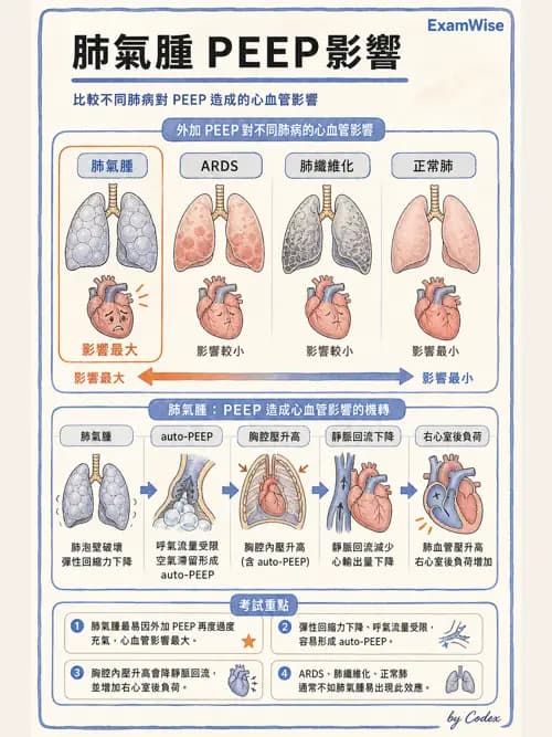 呼吸治療師 - 正壓通氣生理影響與合併症 - AI 圖文解析預覽