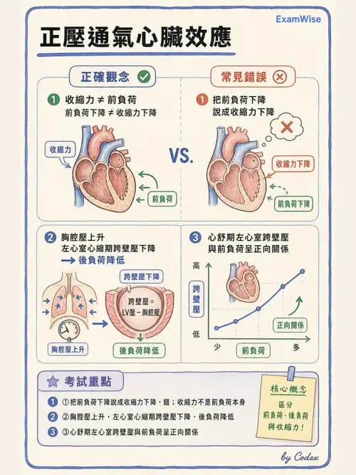 呼吸治療師 - 正壓通氣生理影響與合併症 - AI 圖文解析預覽