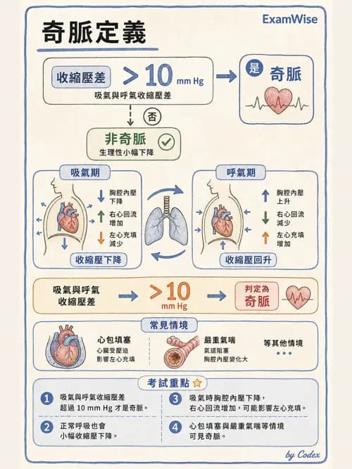 呼吸治療師 - 呼吸器監測與評估 - AI 圖文解析預覽