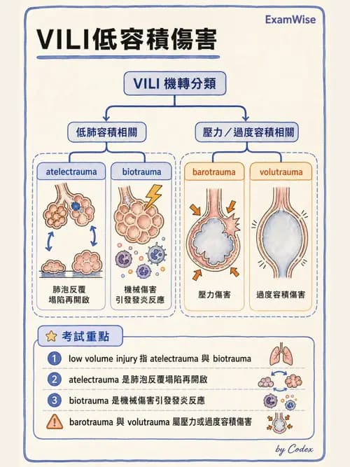 呼吸治療師 - 正壓通氣生理影響與合併症 - AI 圖文解析預覽