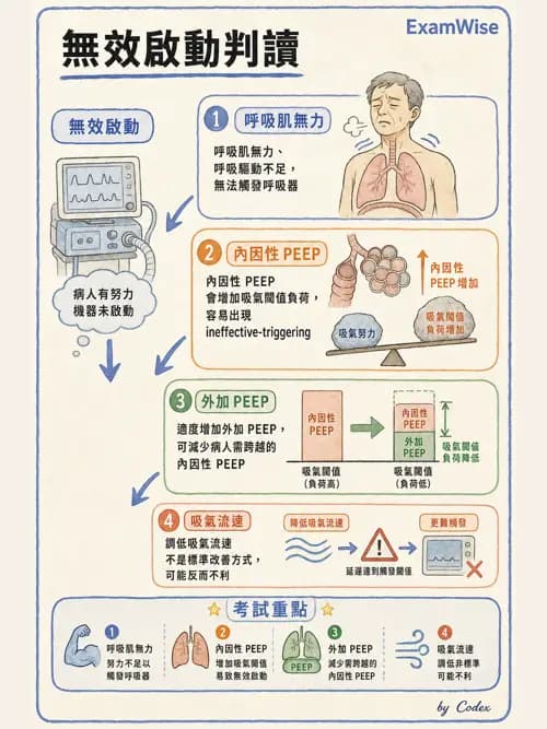 呼吸治療師 - 呼吸器監測與評估 - AI 圖文解析預覽