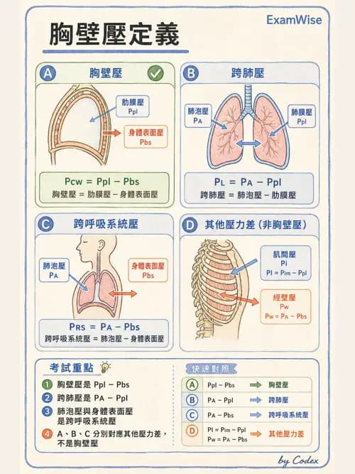 呼吸治療師 - 機械通氣生理 - AI 圖文解析預覽