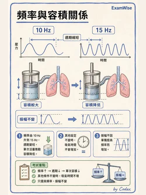 呼吸治療師 - 小兒呼吸器支持 - AI 圖文解析預覽