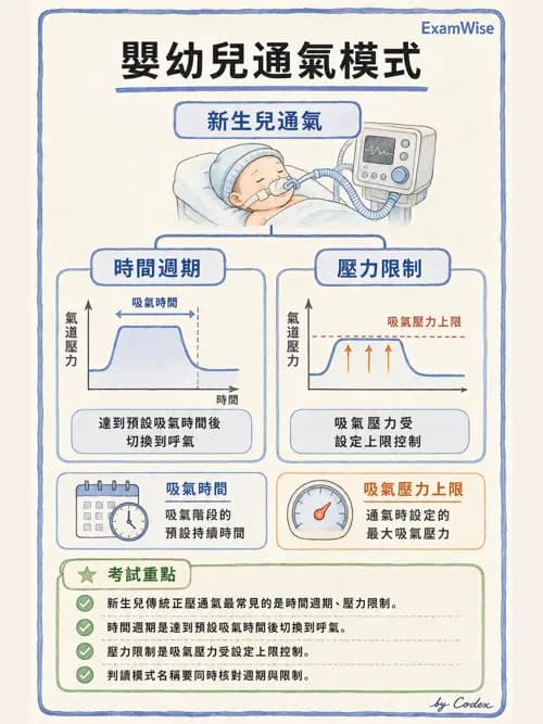 呼吸治療師 - 小兒呼吸器支持 - AI 圖文解析預覽