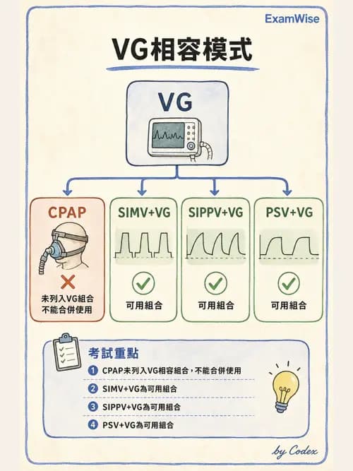 呼吸治療師 - 小兒呼吸器支持 - AI 圖文解析預覽