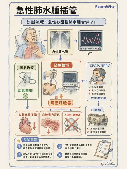 呼吸治療師 - 非侵襲性與居家通氣 - AI 圖文解析預覽