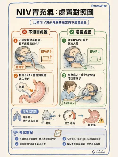 呼吸治療師 - 非侵襲性與居家通氣 - AI 圖文解析預覽