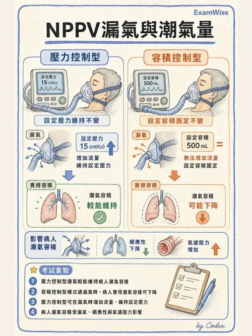 呼吸治療師 - 非侵襲性與居家通氣 - AI 圖文解析預覽