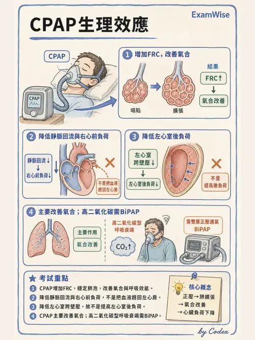 呼吸治療師 - 非侵襲性與居家通氣 - AI 圖文解析預覽