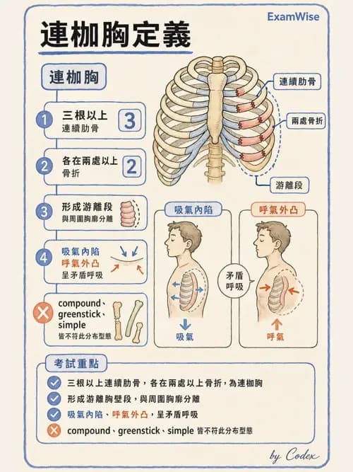 呼吸治療師 - 術後與其他呼吸重症 - AI 圖文解析預覽