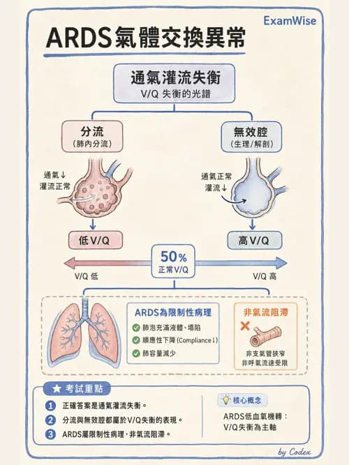 呼吸治療師 - ARDS與呼吸衰竭 - AI 圖文解析預覽