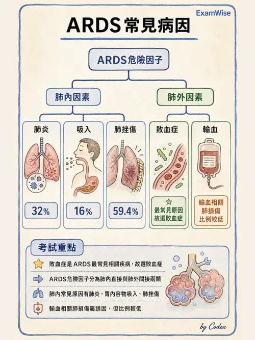 呼吸治療師 - ARDS與呼吸衰竭 - AI 圖文解析預覽