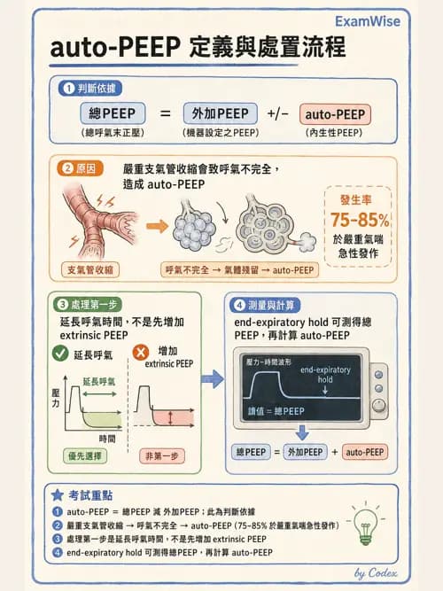呼吸治療師 - 心臟疾病與COPD重症 - AI 圖文解析預覽