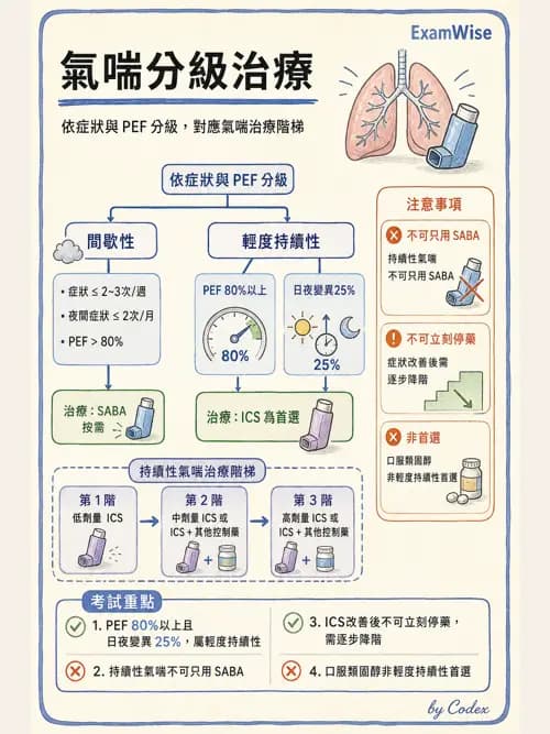 呼吸治療師 - 心臟疾病與COPD重症 - AI 圖文解析預覽