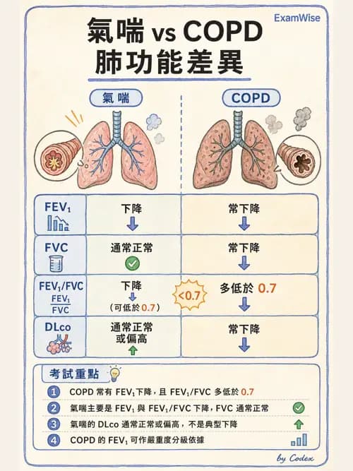 呼吸治療師 - 心臟疾病與COPD重症 - AI 圖文解析預覽