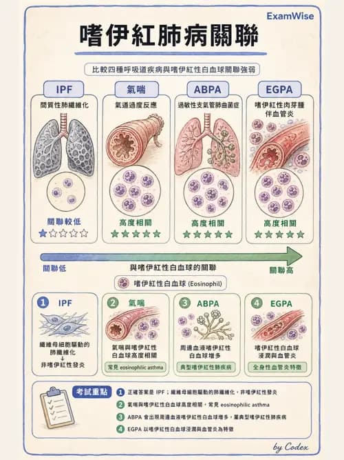 呼吸治療師 - 術後與其他呼吸重症 - AI 圖文解析預覽