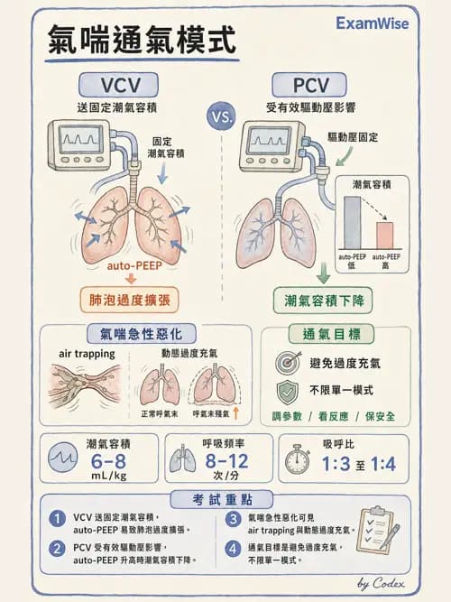 呼吸治療師 - 心臟疾病與COPD重症 - AI 圖文解析預覽