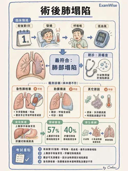 呼吸治療師 - 術後與其他呼吸重症 - AI 圖文解析預覽