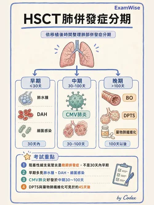呼吸治療師 - 術後與其他呼吸重症 - AI 圖文解析預覽