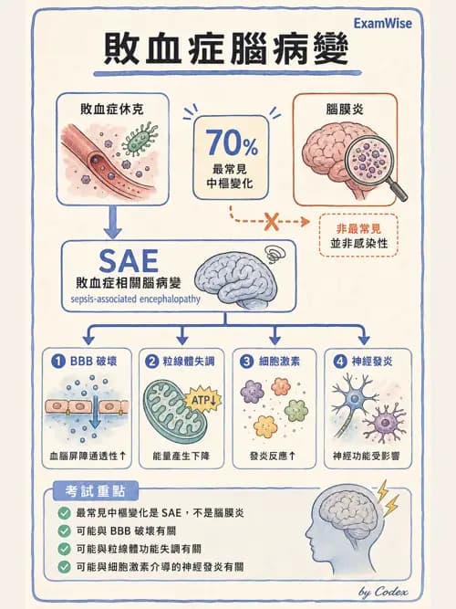 呼吸治療師 - 休克、敗血症與多器官衰竭 - AI 圖文解析預覽