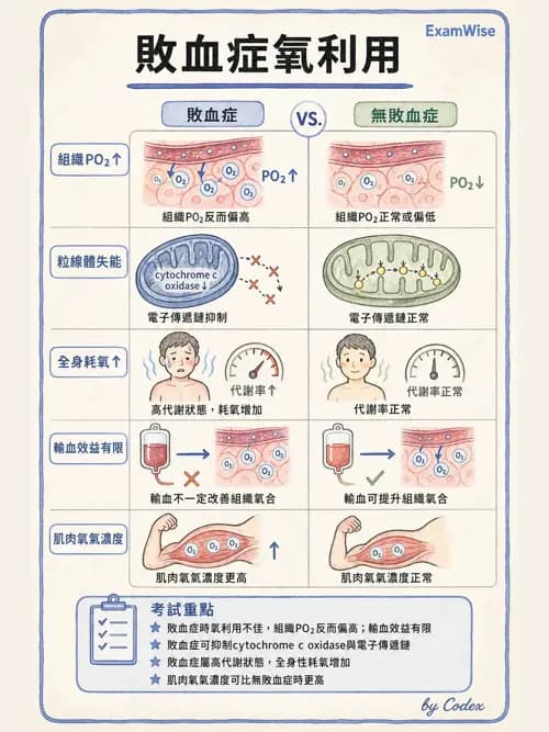 呼吸治療師 - 休克、敗血症與多器官衰竭 - AI 圖文解析預覽