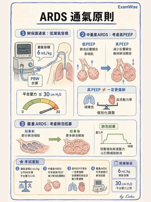 呼吸治療師 - ARDS與呼吸衰竭 - AI 圖文解析預覽