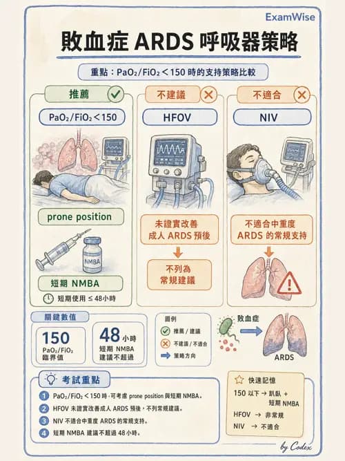 呼吸治療師 - ARDS與呼吸衰竭 - AI 圖文解析預覽
