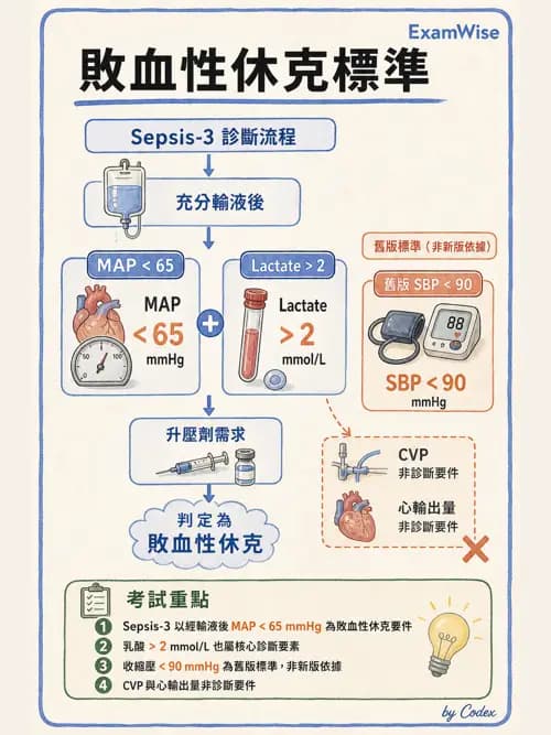 呼吸治療師 - 休克、敗血症與多器官衰竭 - AI 圖文解析預覽