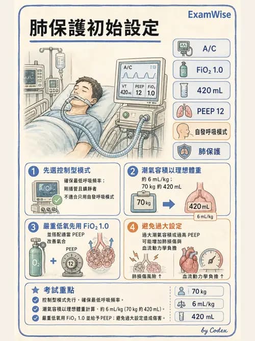呼吸治療師 - ARDS與呼吸衰竭 - AI 圖文解析預覽