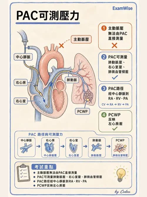 呼吸治療師 - 重症監測與判讀 - AI 圖文解析預覽