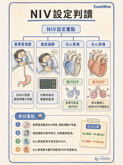 呼吸治療師 - 心臟疾病與COPD重症 - AI 圖文解析預覽