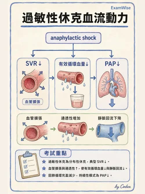 呼吸治療師 - 休克、敗血症與多器官衰竭 - AI 圖文解析預覽