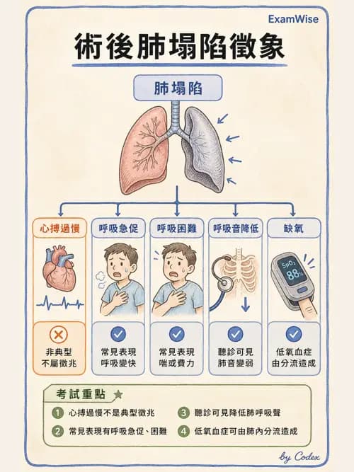 呼吸治療師 - 術後與其他呼吸重症 - AI 圖文解析預覽