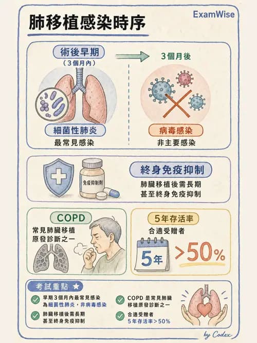呼吸治療師 - 術後與其他呼吸重症 - AI 圖文解析預覽