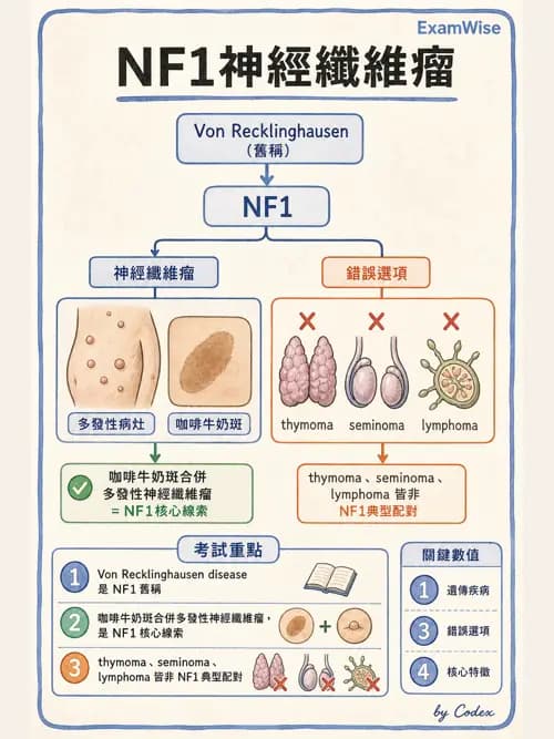 呼吸治療師 - 術後與其他呼吸重症 - AI 圖文解析預覽