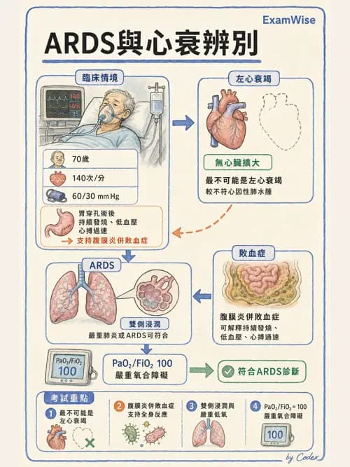 呼吸治療師 - 重症監測與判讀 - AI 圖文解析預覽