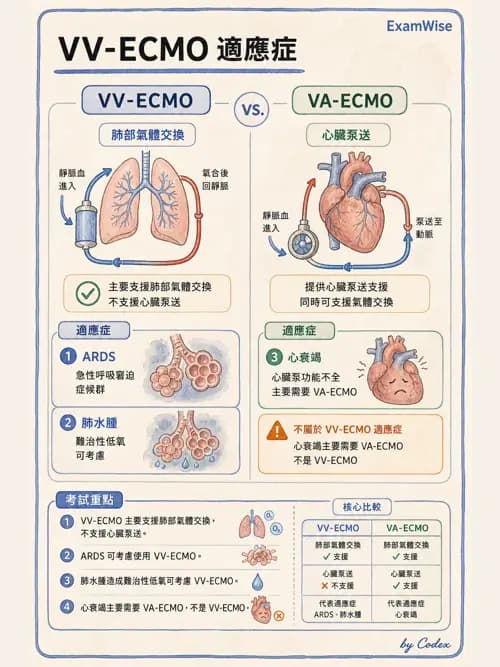 呼吸治療師 - 重症特殊處置 - AI 圖文解析預覽