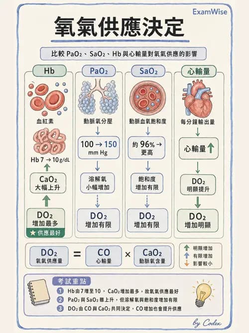 呼吸治療師 - 重症監測與判讀 - AI 圖文解析預覽