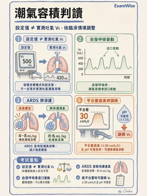 呼吸治療師 - ARDS與呼吸衰竭 - AI 圖文解析預覽