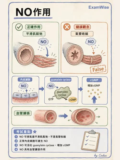 呼吸治療師 - ARDS與呼吸衰竭 - AI 圖文解析預覽
