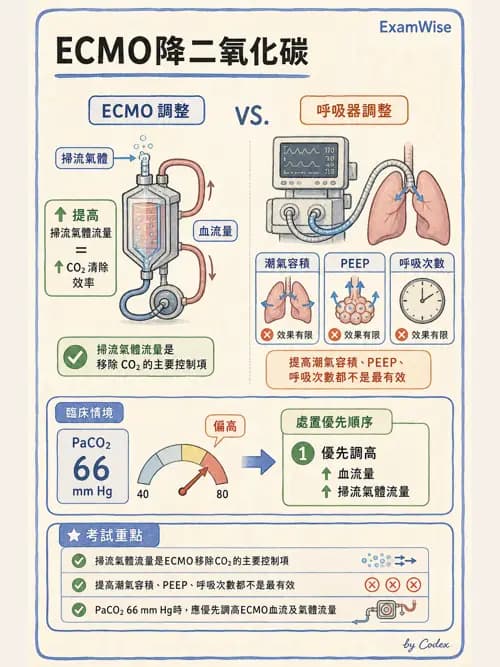 呼吸治療師 - 重症特殊處置 - AI 圖文解析預覽